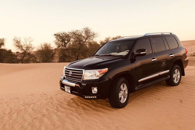 Dubai Desert Safari - An In-Depth Look at the Dubai Desert Safari Experience