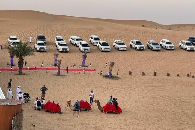 Dubai Desert Safari Adventure with Premium BBQ Dinner - Authenticity, Value, and Guest Feedback
