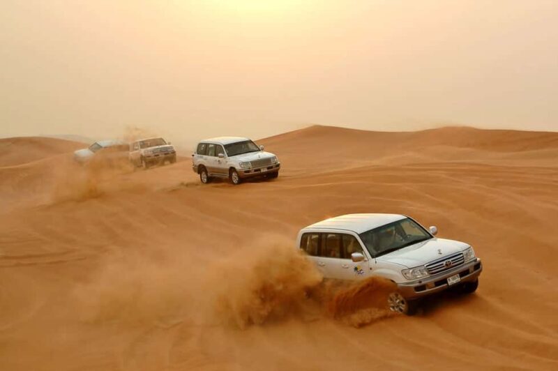 Dubai: Desert Safari, Camel, Quad Ride & Mesmerizing Shows - Key Points
