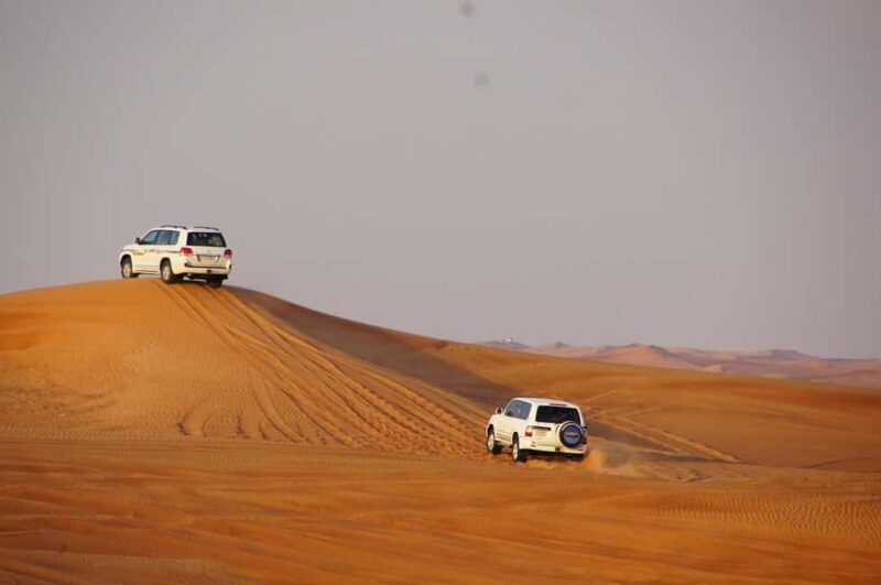 Dubai: Desert Safari, Camel, Quad Ride & Mesmerizing Shows - The Sum Up