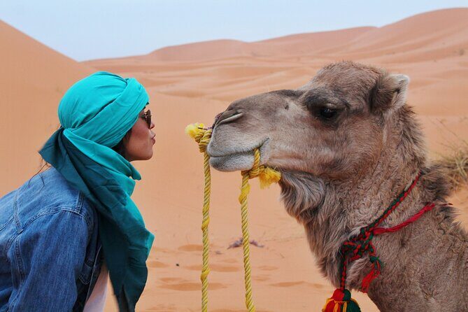 Dubai Desert Safari Camel Ride Sand Boarding BBQ Dinner - The Sum Up