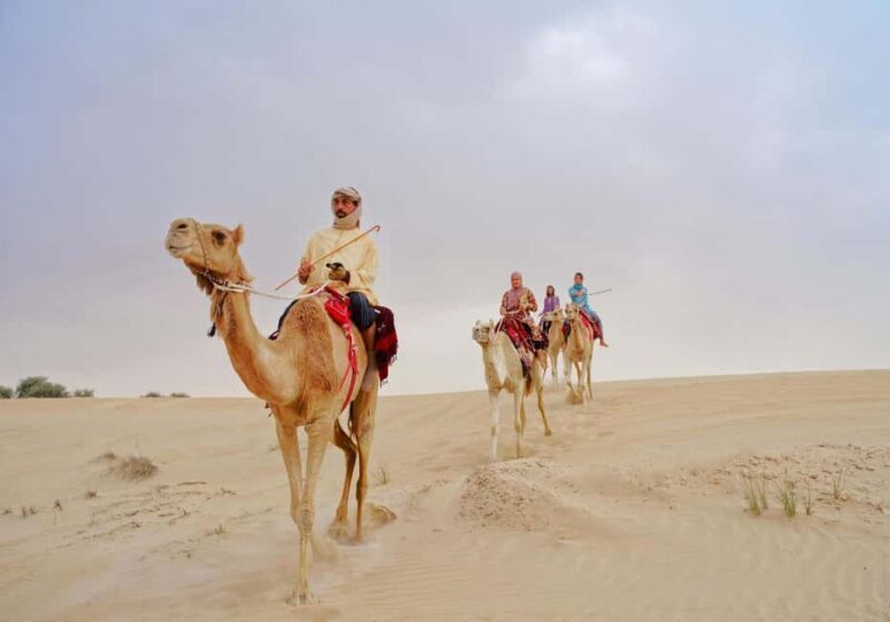 Dubai: Desert Safari, Camel Ride, Sandboard & Buffet Dinner - Key Points