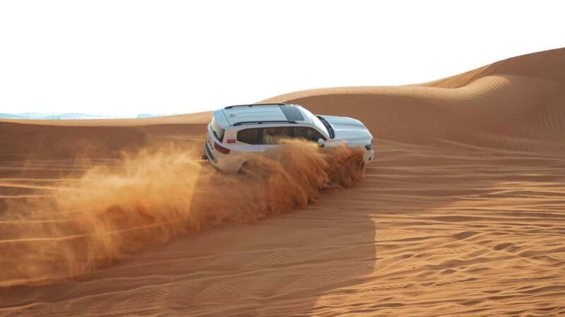 Dubai: Desert Safari, Camel Ride, Show & Optional Dinner - Who Will Love This Tour?
