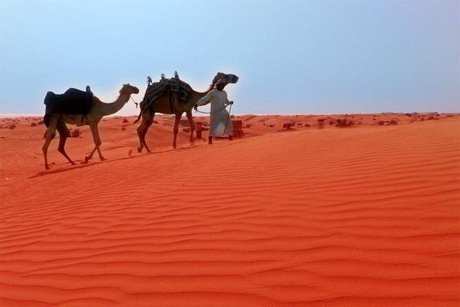 Dubai Desert Safari Exclusive jeep, activities, shows (01-05 persons) per jeep - Experience Breakdown: What to Expect