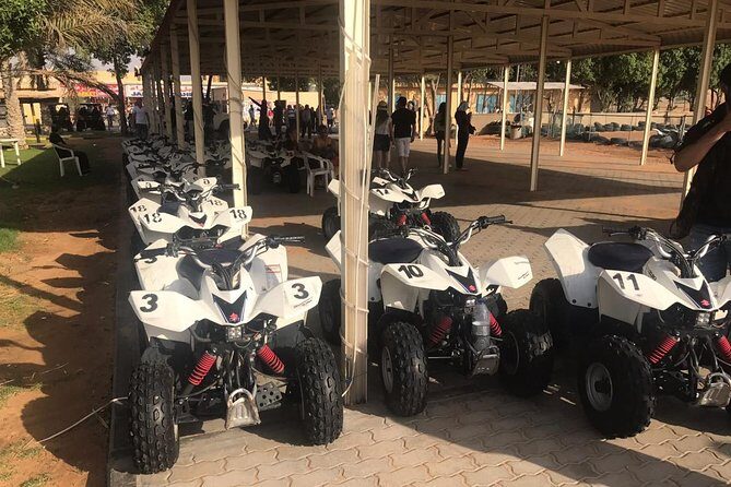 Dubai Desert Safari Morning with Quad Biking and Camel Ride - Who Is This Tour Best For?
