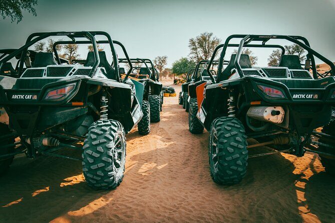 Dubai: Desert Safari Near City Premium Dining - Key Points