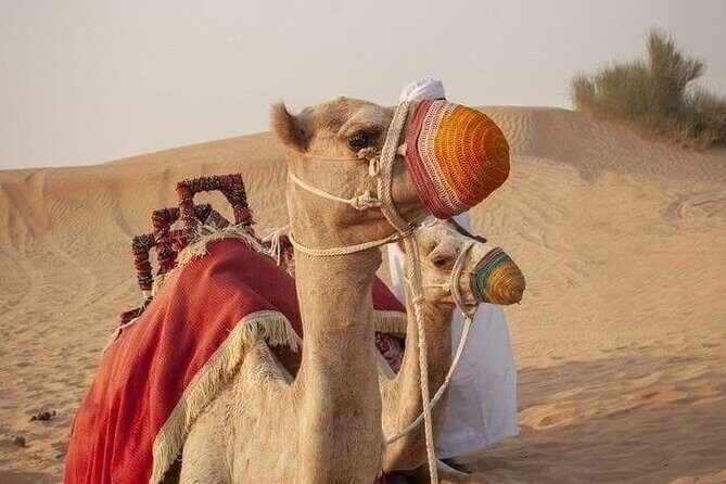 Dubai Desert Safari Private - FAQ