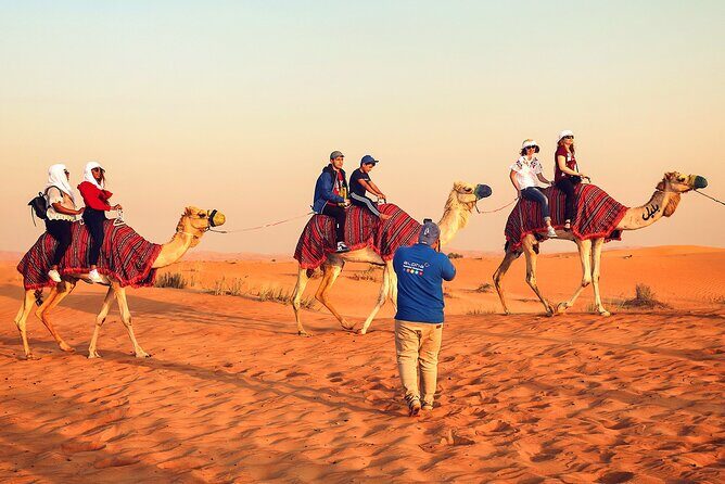 Dubai: Desert Safari, Quad Bike, Camel Ride with VIP Majlis - Who Would Love This Tour?