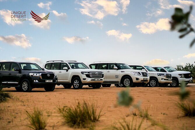 Dubai Desert Safari Standard Package - A Full Breakdown of the Dubai Desert Safari Experience
