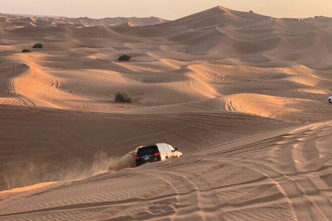 Dubai Desert Safari Tour 4x4 with Locals BBQ and Shows - Authenticity and Experience Quality