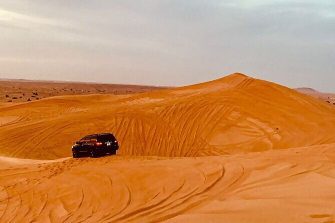 Dubai Desert Safari Tour 4x4 with Locals BBQ and Shows - Who Will Love This Tour?