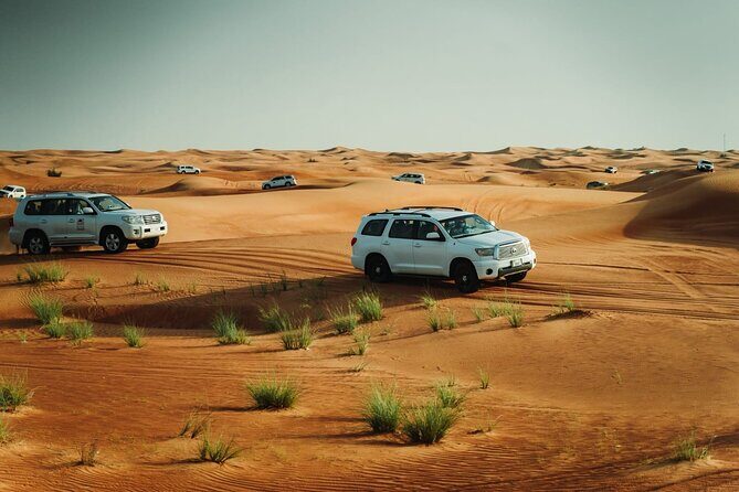 Dubai Desert safari Tour with Live BBQ & Belly Dance Shows - What to Expect from the Tour