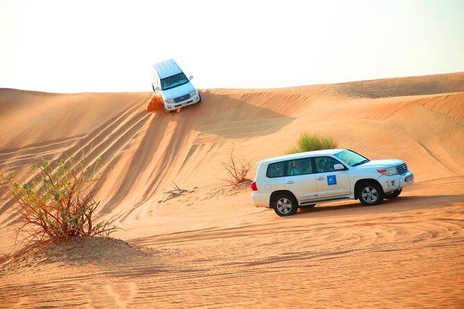 Dubai Desert Safari with 4x4 Dune Bashing and BBQ Dinner - Analyzing Value: Price & Experience