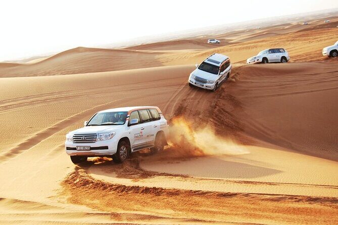 Dubai Desert Safari With BBQ dinner - What the Tour Offers: A Deep Dive