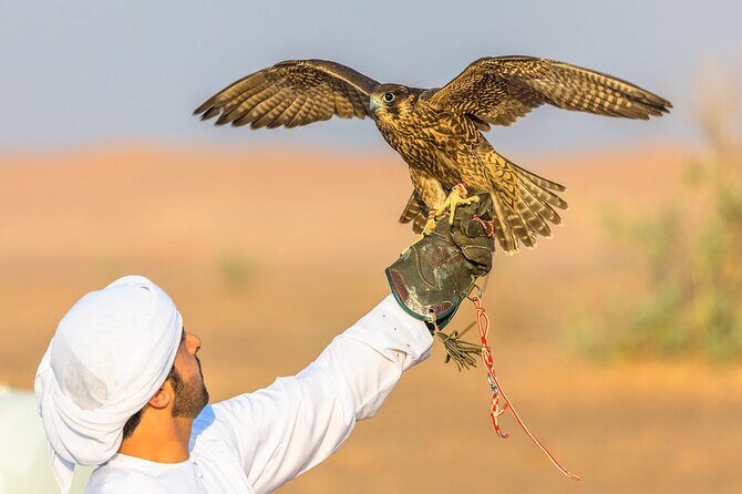 Dubai Desert Safari with BBQ Dinner in red sand - What to Expect: A Full Breakdown of the Tour