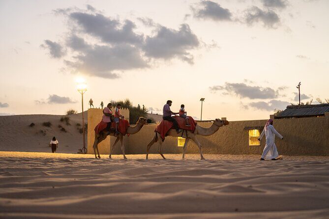 Dubai Desert Safari with BBQ, Dune, Live Shows - Key Points