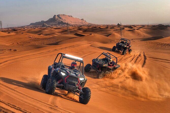 Dubai Desert Safari With Camel Ride and Sand Boarding - Final Thoughts