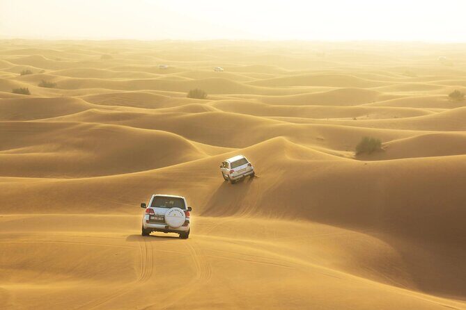 Dubai Desert Safari with Camel Ride, Dinner & Live Entertainment - Key Points
