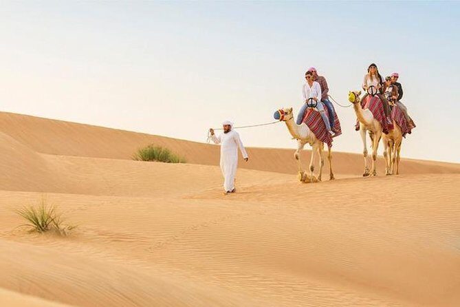 Dubai: Desert Safari with Camel Ride & Dune Bashing - Key Points