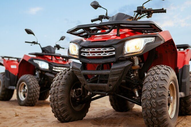 Dubai Desert Safari: with Camel Ride, live entertainment and bbq - What the Reviews Tell Us