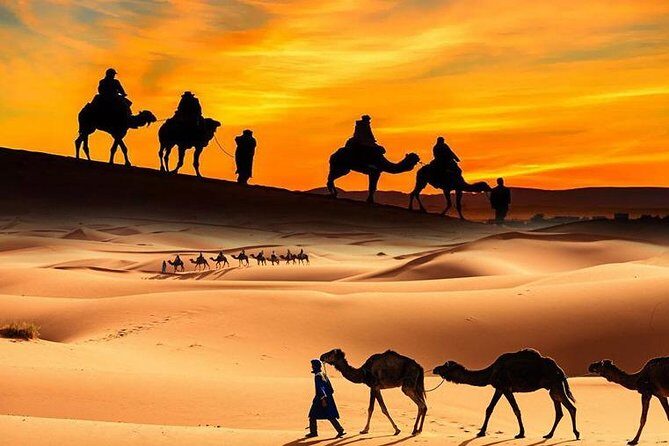 Dubai Desert Safari with Camel Ride, Show, BBQ and Transfers - An In-Depth Look at the Dubai Desert Safari Experience