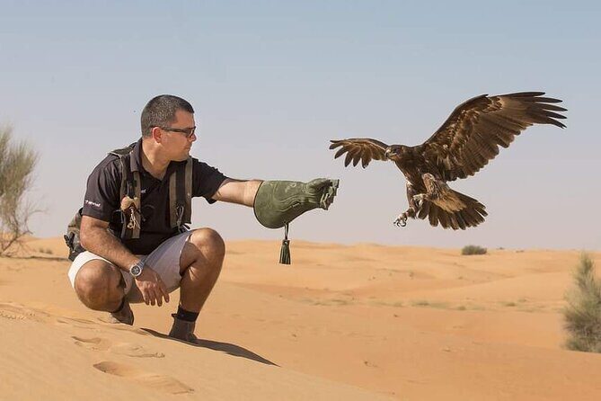 Dubai Desert Safari with Camel Riding and Belly Dance - Logistics and Practicalities