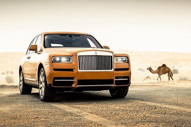 Dubai Desert Safari with Dance show, Sand Boarding, Camel & BBQ - Key Points