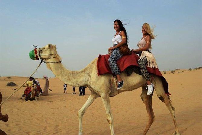 Dubai Desert Safari with Dance show, Sand Boarding, Camel & BBQ - An Honest Look at the Value