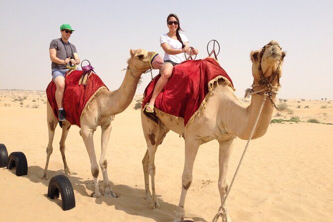 Dubai Desert Safari with Dinner, Camel Ride & Dune Bashing - An In-Depth Look at the Dubai Desert Safari Experience