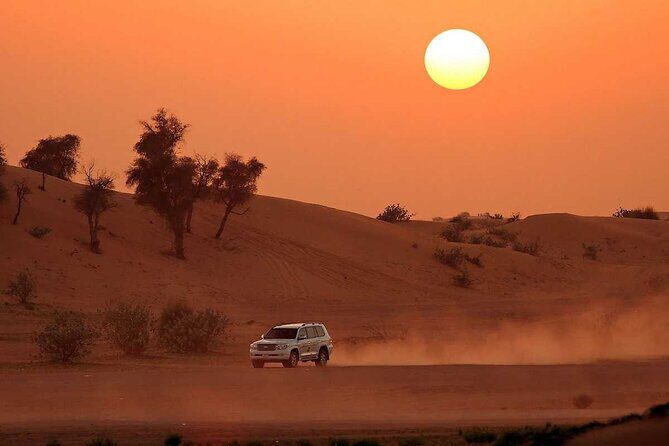 Dubai Desert Safari with Dinner - The Sum Up: A Good Value for a Fun Desert Night