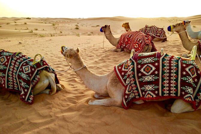 Dubai Desert Safari with Dinner - FAQ