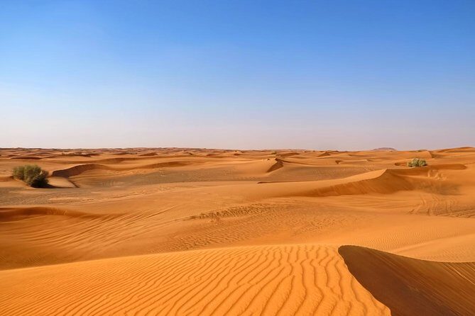 Dubai Desert Safari with Dune Bashing, Camel Rides & BBQ - What to Expect at Each Stop