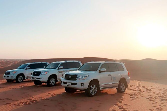 Dubai Desert Safari with Dune Bashing , Dinner Buffet & Entertainments - Who Should Consider This Tour?