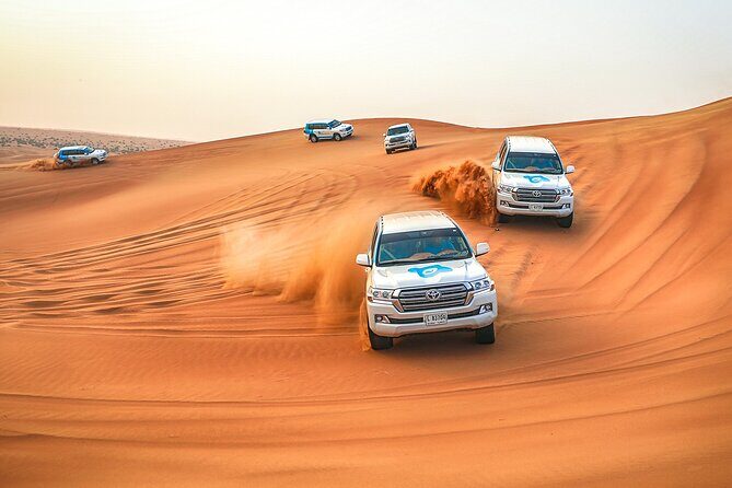 Dubai Desert Safari with Live Show, BBQ Dinner, Camel Ride & Sand Board Options - Who Will Love This Tour?