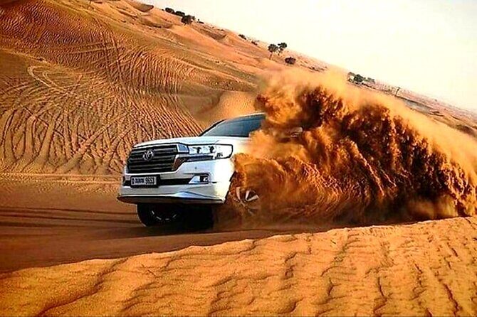 Dubai Desert Safari with Private Transfers - Key Points