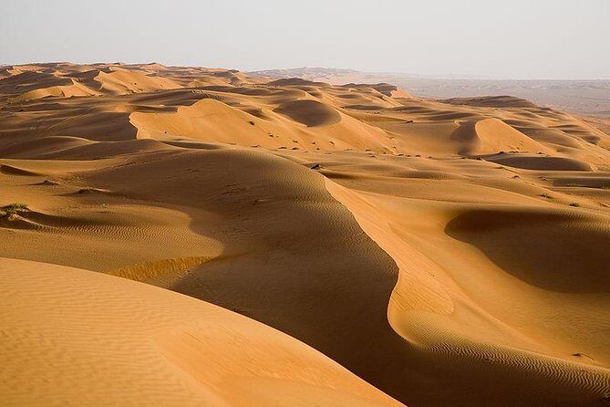 Dubai Desert Safari with Quad Bike & Dune Bashing & Camel Ride & BBQ Dinner - The Sum Up