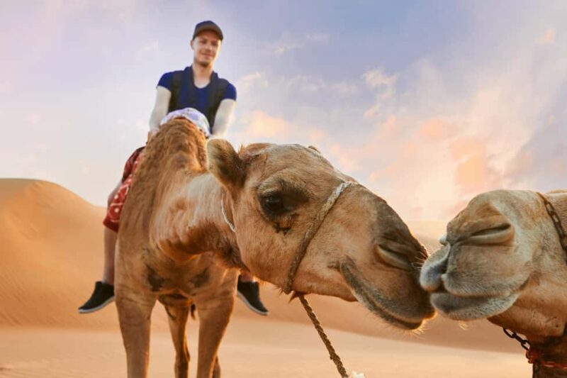 Dubai Desert Trail: Guided Quad/Polaris and Red Dunes Safari - FAQ
