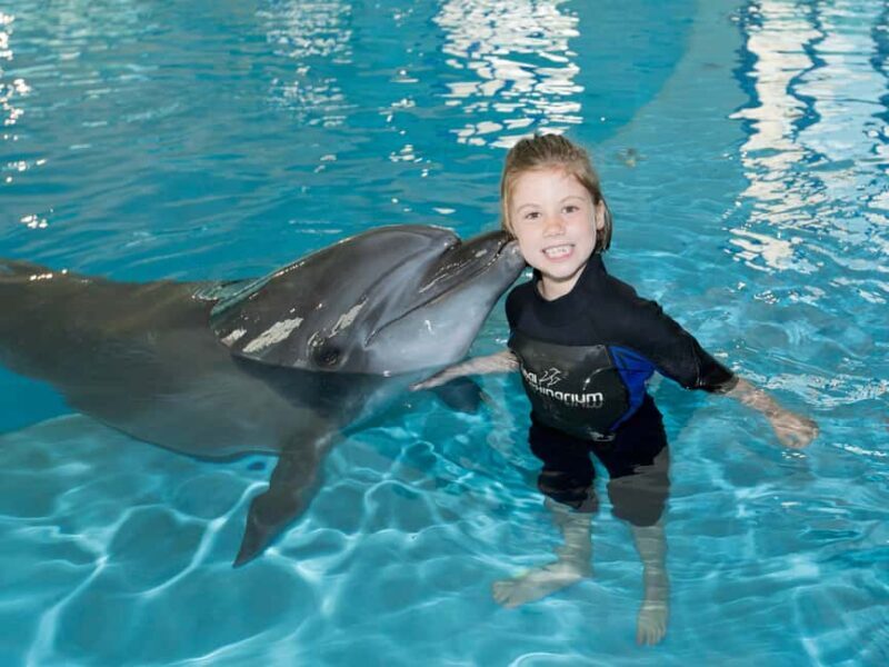 Dubai: Dubai Dolphinarium Dolphin, Seal & Bird Show Tickets - The Experience: Authentic Feedback from Visitors