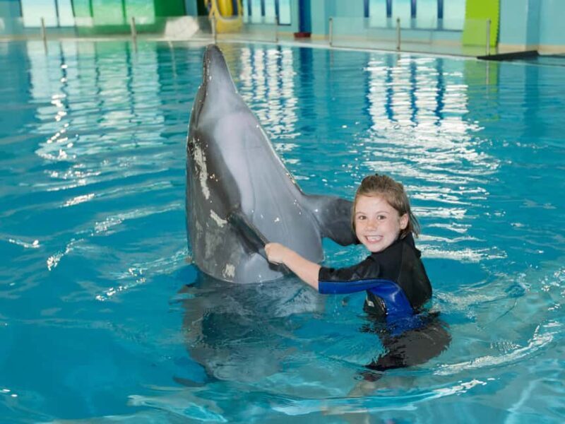 Dubai: Dubai Dolphinarium Dolphin, Seal & Bird Show Tickets - Who Should Consider Visiting?