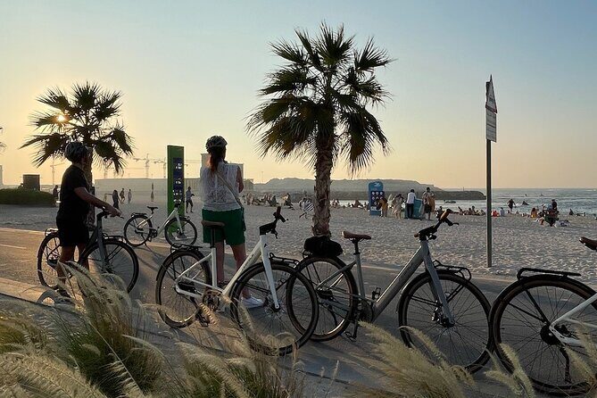 Dubai Electric Bicycle Tour - The Sum Up: Who Should Consider This Tour?