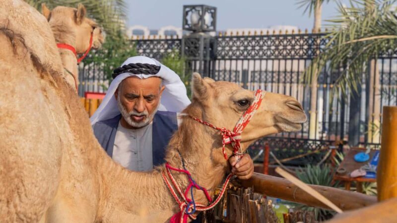 Dubai: Emirati Cultural Experience with Emirati Meal - Key Points
