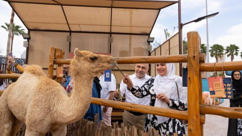 Dubai: Emirati Cultural Experience with Emirati Meal - Practical Tips for a Smooth Experience