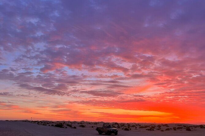 Dubai Evening Desert Safari - Final Thoughts: Who Will Love This Experience?