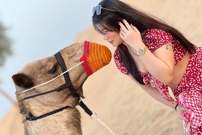Dubai: Evening Desert Safari, Camel Ride, Shows & BBQ Dinner - Key Points