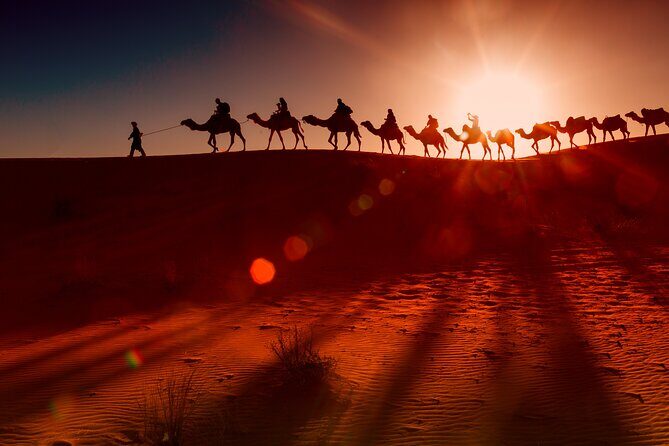 Dubai Evening Desert Safari Tour with Hotel Transfer & Live BBQ - Key Points