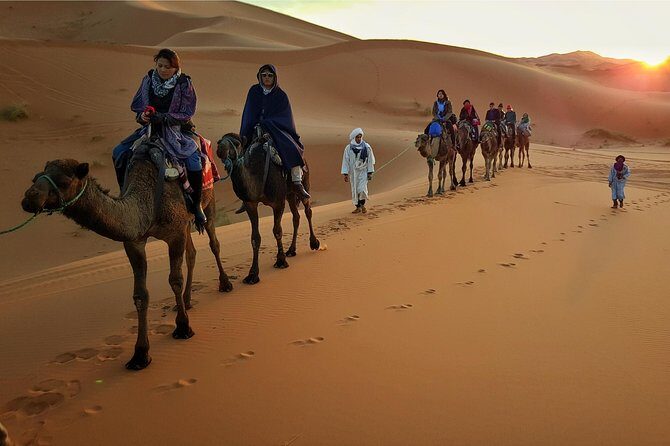 Dubai Evening Desert Safari with ATV Quad Bike & Dinner - Final Thoughts: Who Is This Tour Best For?