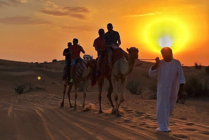 Dubai Evening Desert Safari With BBQ Dinner at Arabian Heritage - Key Points
