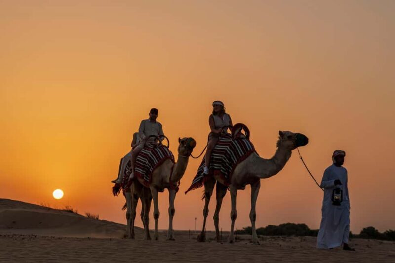 Dubai: Evening Desert Safari with Camel Ride & Stargazing - An In-Depth Look at the Dubai Desert Safari Experience