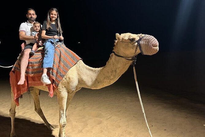 Dubai Evening Desert Safari with Dinner, Camel Ride and Show - The Itinerary: A Closer Look