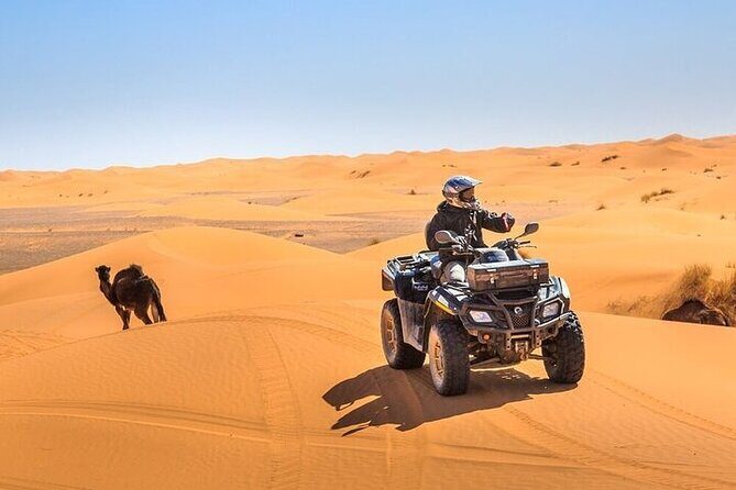 Dubai Evening Desert Safari with Quad bike, Dinner and Show - Key Points